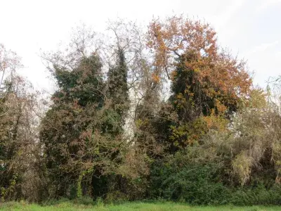 “Tempo scaduto”: oggi ultimo giorno per revocare il contratto sull’ex Polveriera