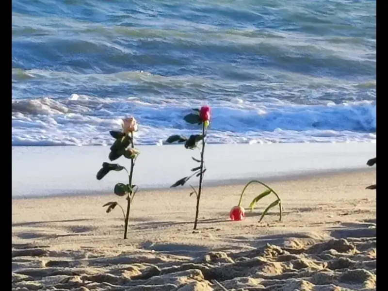 Naufragio Cutro, il pescatore: “Nessun soccorso, abbiamo tolto noi le persone dal mare”