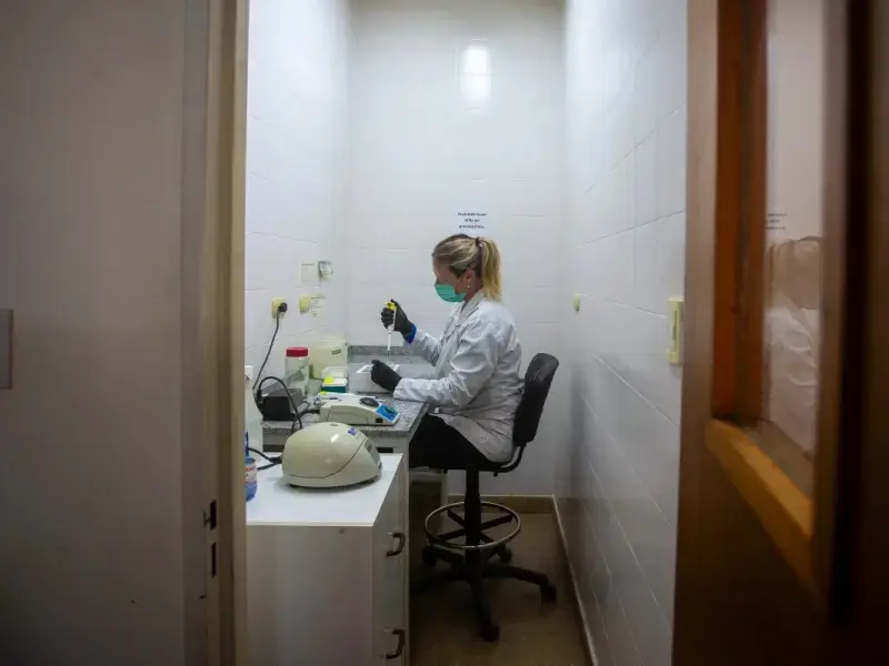 Un gruppo di scienziati era vicinissimo a sviluppare un vaccino per l’hantavirus ma si è dovuto fermare all’ultimo momento perché avevano finito i soldi
