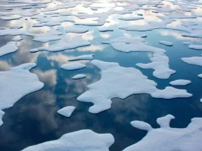 Federico Rampini commenta un articolo ritirato da Nature senza capire niente