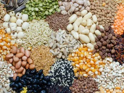 Il patrimonio nascosto delle valli alpine