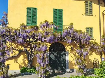 Primavera di guerra. Parafrasi da Il glicine di Pierpaolo Pasolini