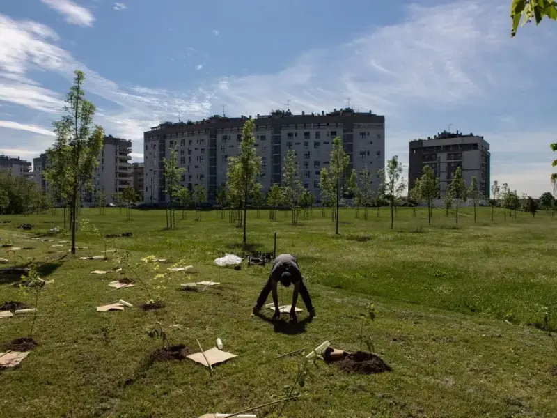 Una delle nuove differenze tra ricchi e poveri è il green divide, cioè la possibilità e facilità di accedere a zone verdi