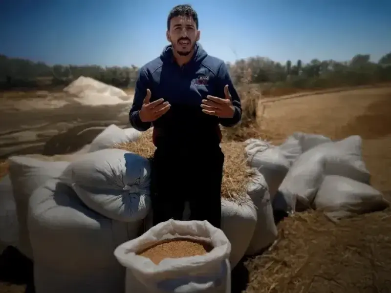 Questo popolo ha sette anime. Quintq puntata. Il grano, l’oro di Gaza. i contadini sfidano il pericolo