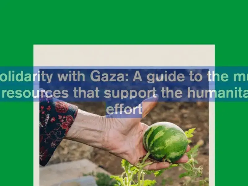 C’è una lista di tutte le organizzazioni, iniziative e progetti musicali che devolvono i loro incassi in beneficenza a Gaza
