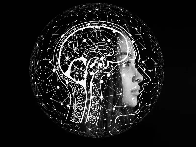 “Il Sé digitale”, come cambia (e resiste) la mente umana nella società digitalizzata