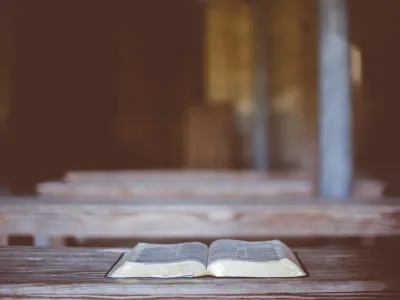 Il rispetto come rivolta silenziosa: dall'attualità a Camus