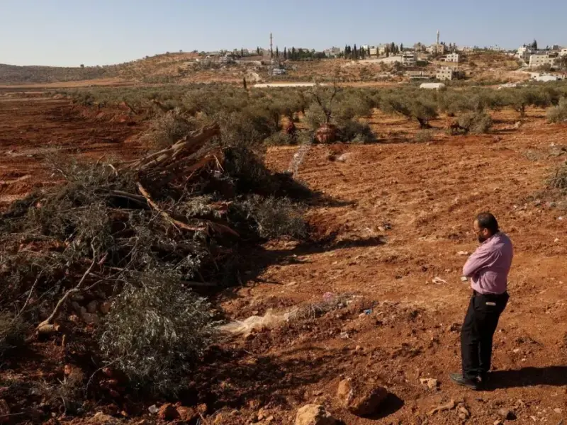 Sistema di ingiustizia: così Israele si assolve dai suoi stessi crimini