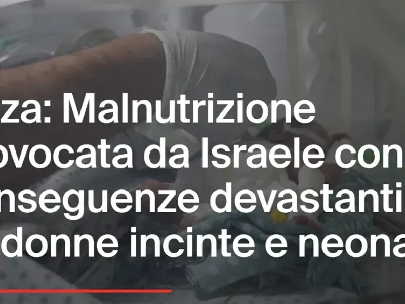 Medici Senza Frontiere: Israele impedisce ai palestinesi l’accesso al cibo e agli aiuti