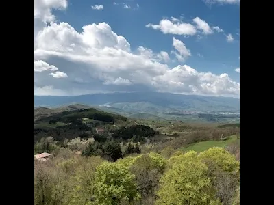 La natura come infrastruttura del futuro: intervista a Giulio Boccaletti