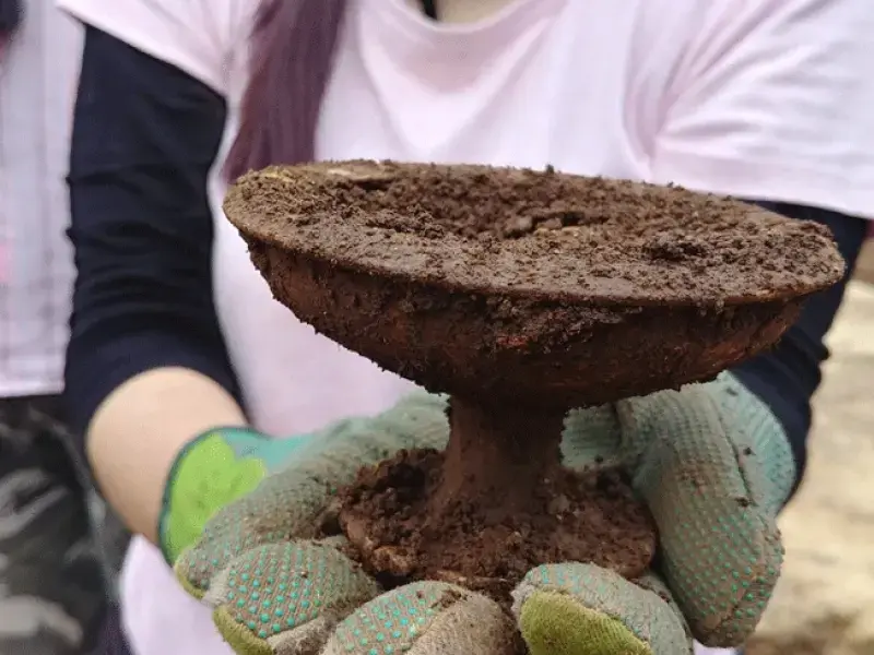 Il tufo e la storia: la nuova primavera etrusca della Tuscia