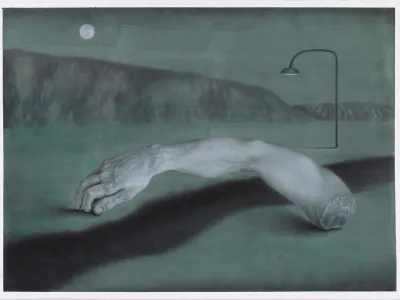 Anatomia della contemplazione è la nuova personale di Laura Villani