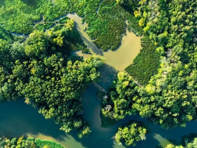 Caro ministro, cosa aspetta ad attuare in Italia il Regolamento europeo sul ripristino della natura?