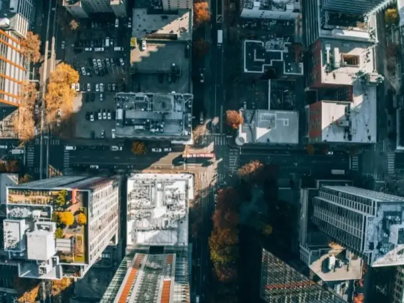 La resistenza inattesa delle parole nel mondo virtuale