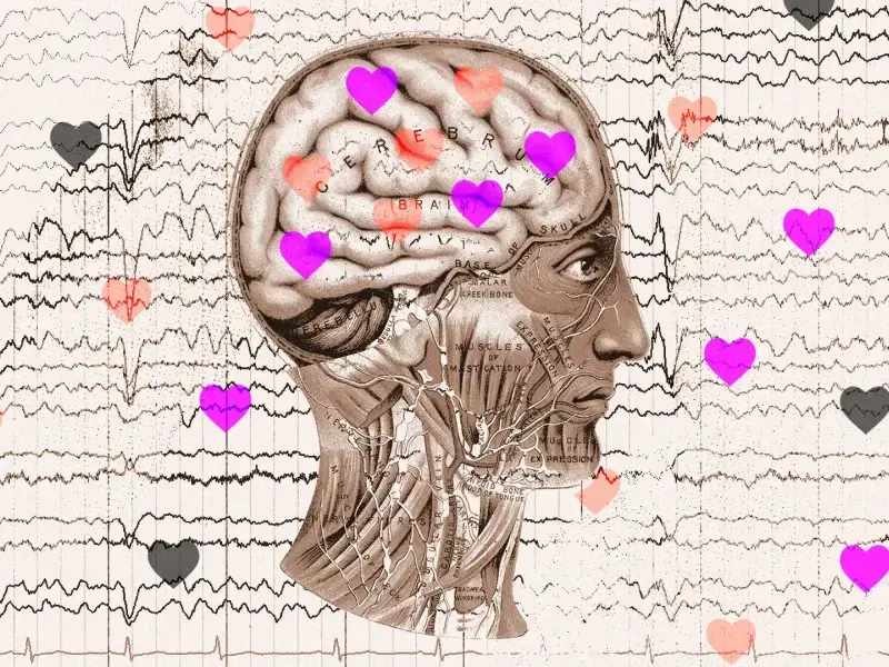 Istruzioni per smettere di odiare il prossimo