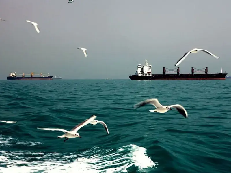 Altro che “resilienza” dei mercati: la crisi di Hormuz ha già colpito i Paesi ostaggio del debito