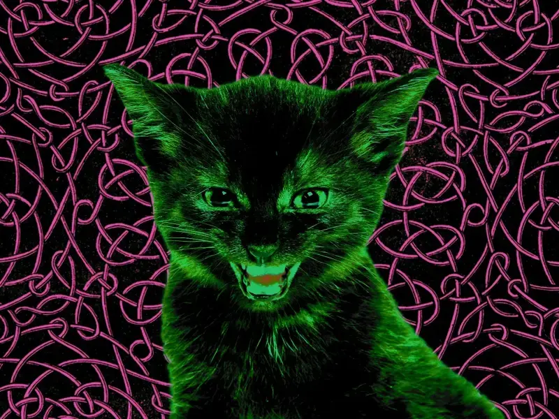 Dietro l’odio spesso c’è desiderio di giustizia