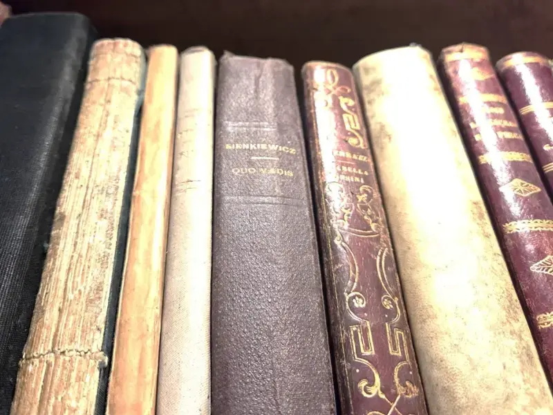 Comprare e distruggere libri; la nuova frontiera dell’Intelligenza Artificiale