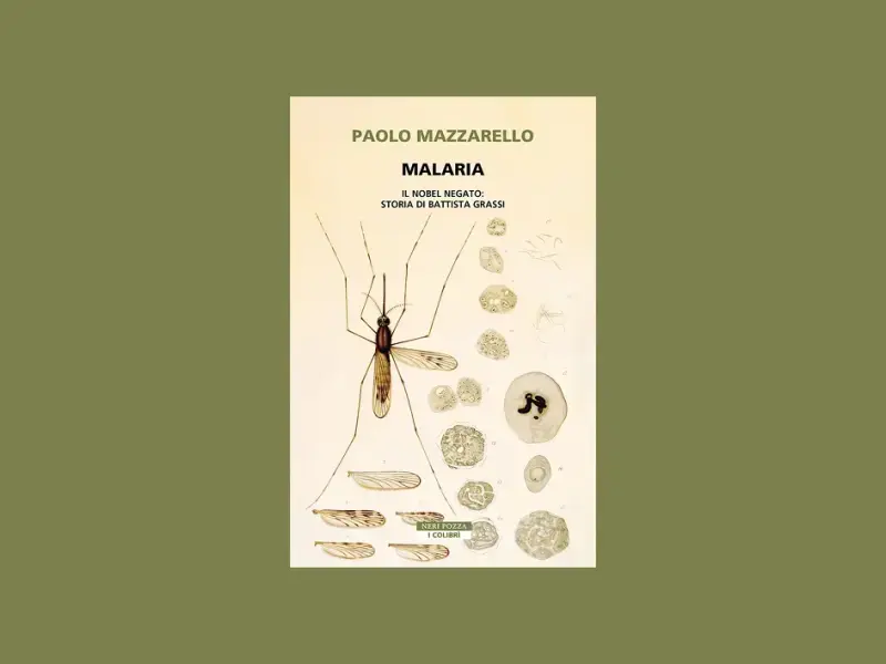 Malaria di Paolo Mazzarello