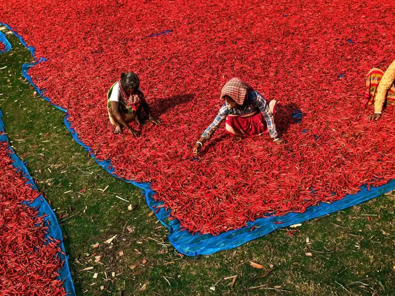 L’Unione europea mette al bando i prodotti realizzati con il lavoro forzato