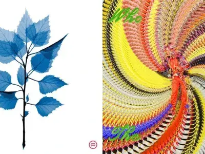 David Byrne e Matt Berninger, due ascolti per iniziare il 2026