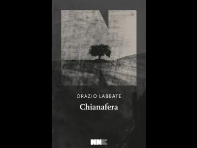 Qualcuno volò sul nido del ceculo