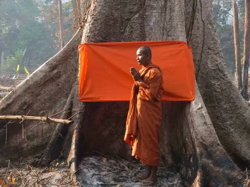 Nuova escatologia terrena