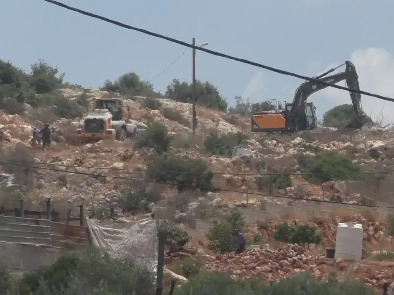 Nel 2025 Israele ha colpito oltre 90mila olivi nella Cisgiordania occupata. Bruqin resiste