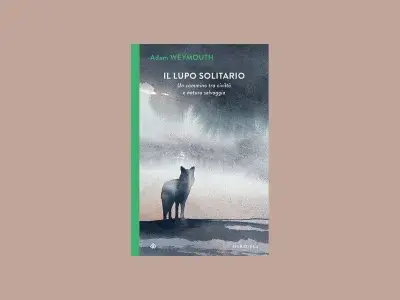 Il lupo solitario di Adam Weymouth