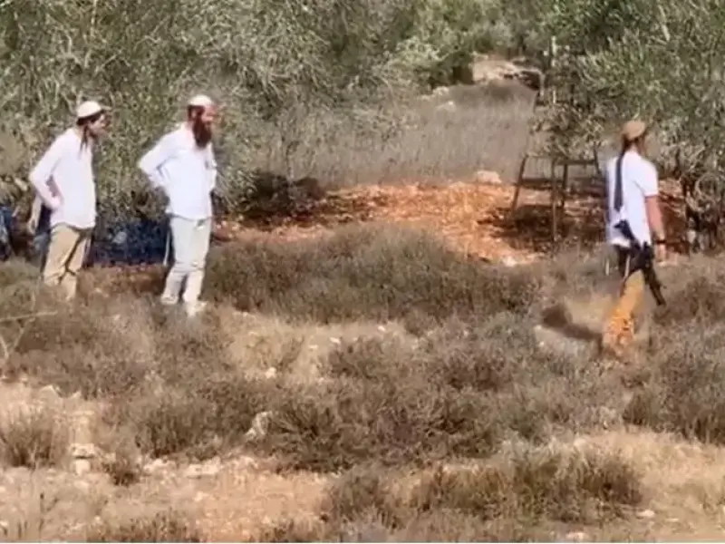 [Video] Vergogna RAI: i coloni armati diventano escursionisti nella narrazioen della TeleMeloni.