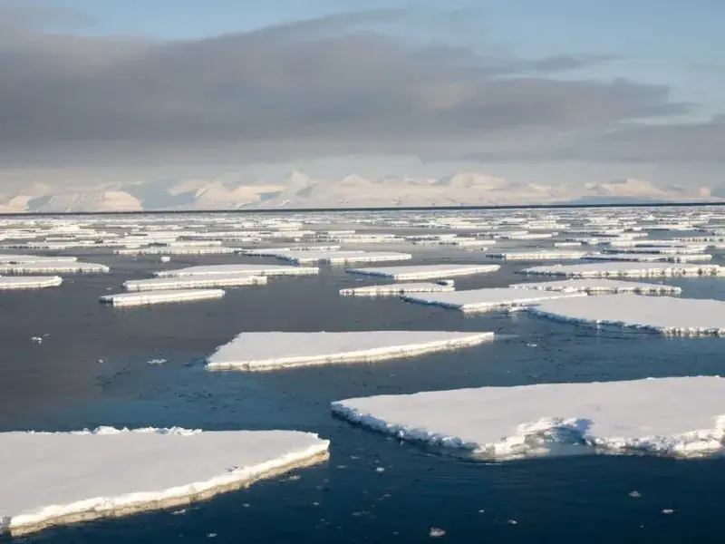Lo specchio di dove sta andando il mondo